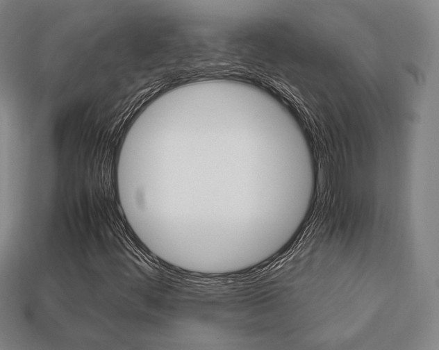 X0000113851444200909240955