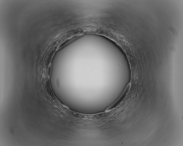X0000113851445200909240955