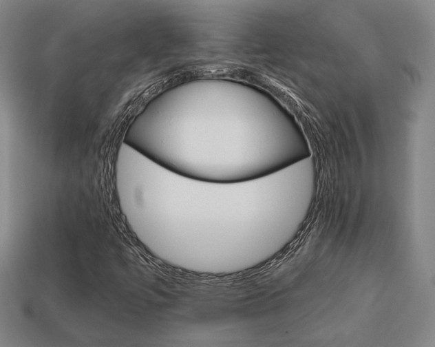 X0000113851447200909240955
