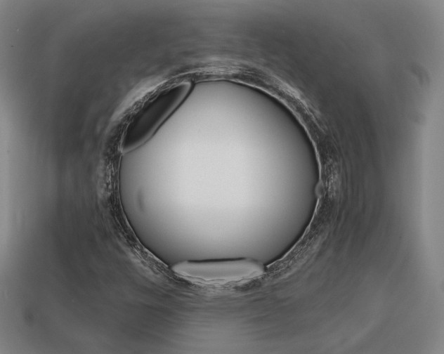 X0000113851448200909240955