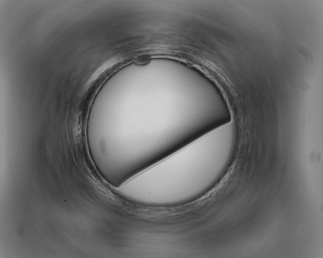 X0000113851450200909240954