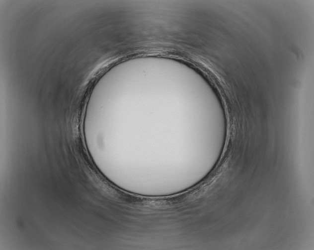 X0000113851451200909240954