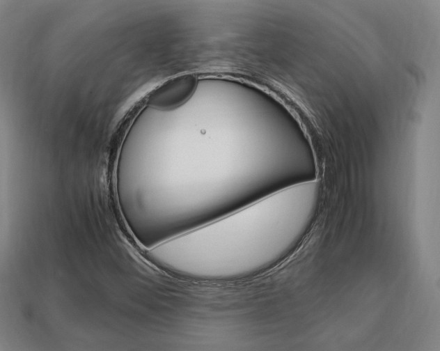X0000113851452200909240954