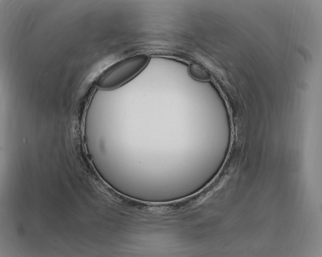 X0000113851453200909240954