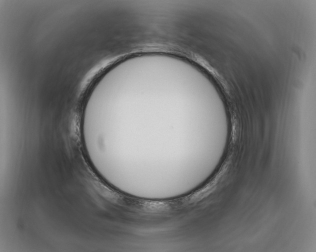 X0000113851454200909240954