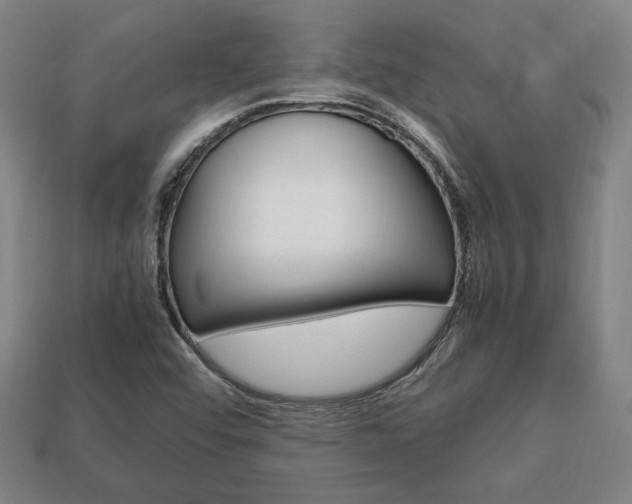 X0000113851456200909240954