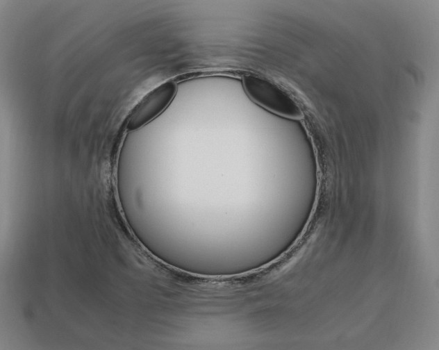 X0000113851457200909240954