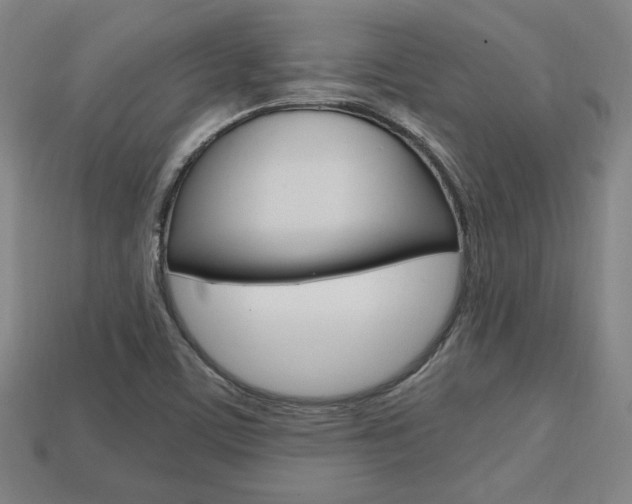 X0000113851459200909240954