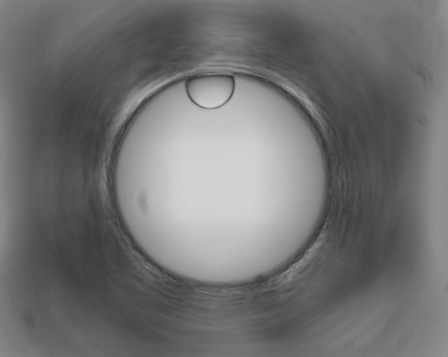 X0000113851461200909240954