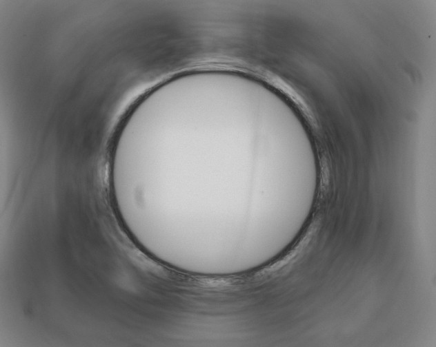 X0000113851462200909240954