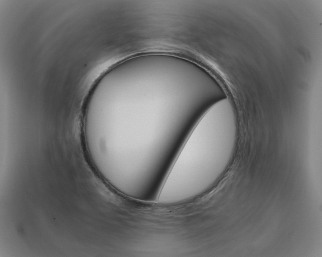 X0000113851463200909240954