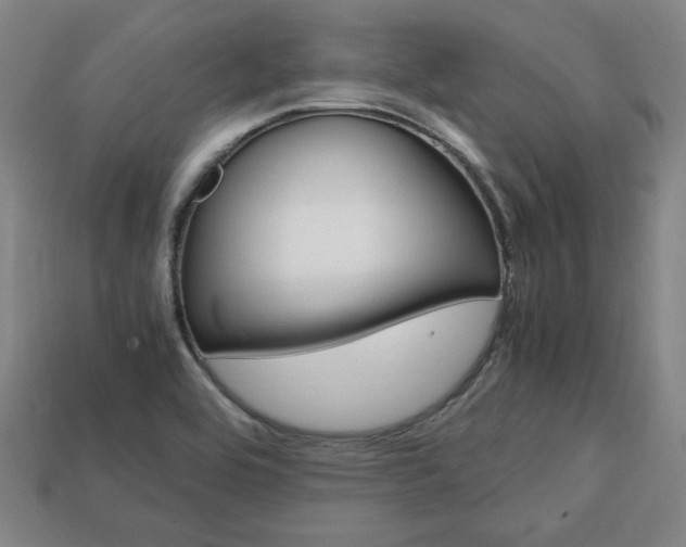X0000113851464200909240954