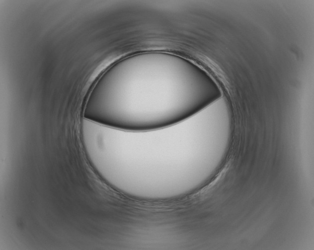 X0000113851465200909240954