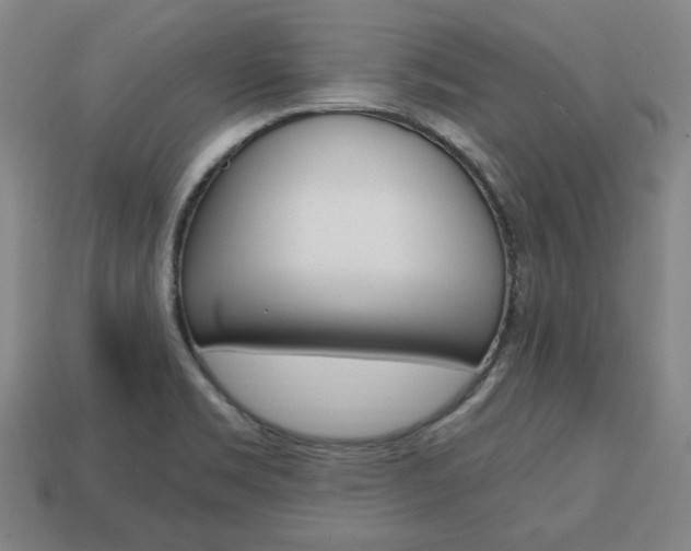 X0000113851469200909240954