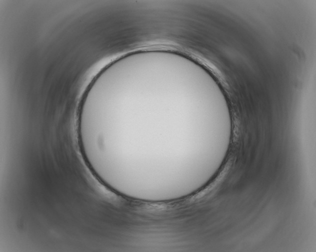 X0000113851470200909240954