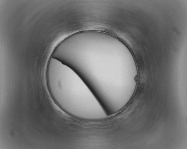 X0000113851471200909240954