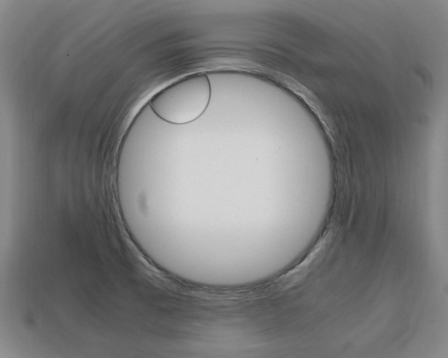 X0000113851473200909240954