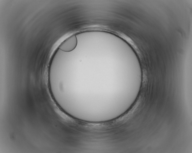 X0000113851474200909240954