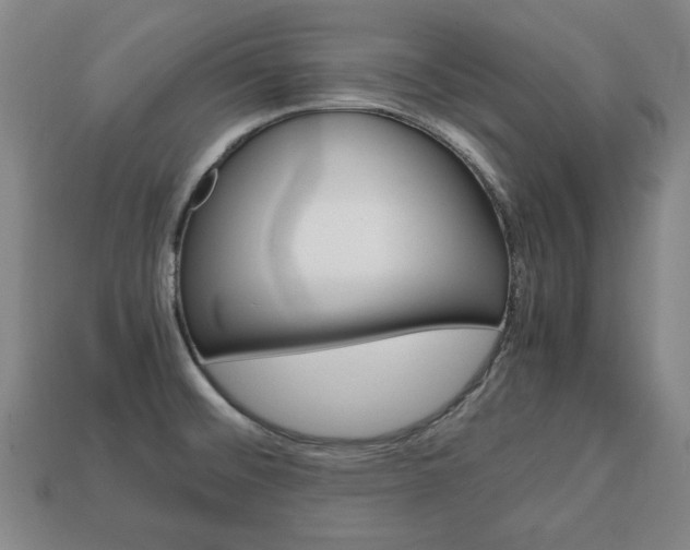 X0000113851476200909240954