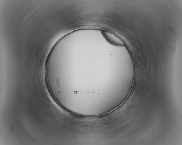X0000113851479200909240954