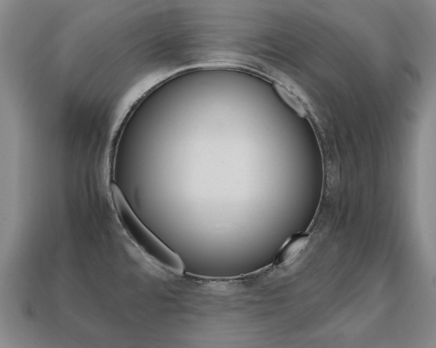 X0000113851480200909240954
