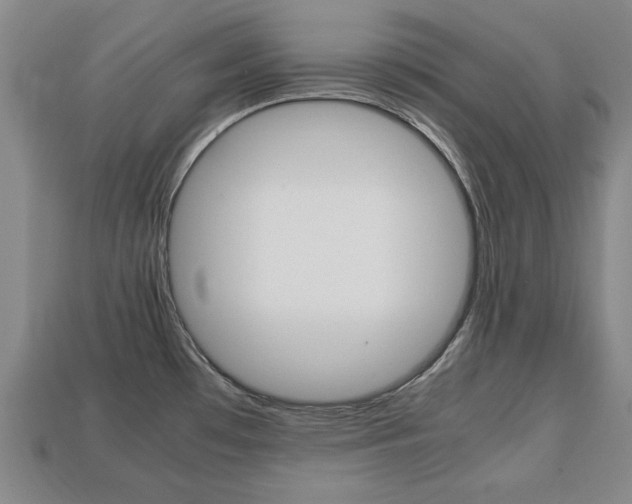 X0000113851481200909240954