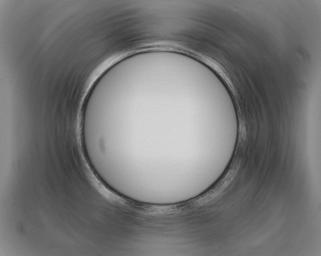 X0000113851482200909240954