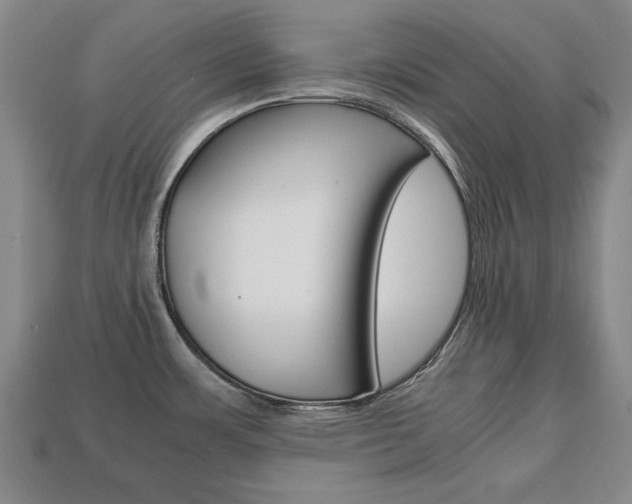 X0000113851483200909240954