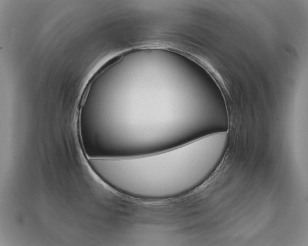 X0000113851484200909240954