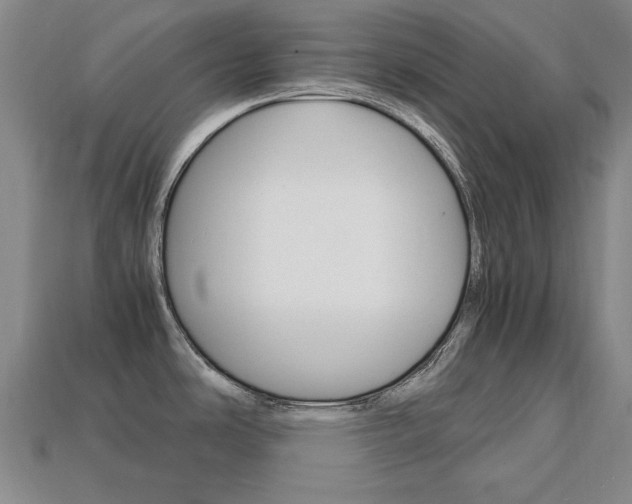 X0000113851486200909240954