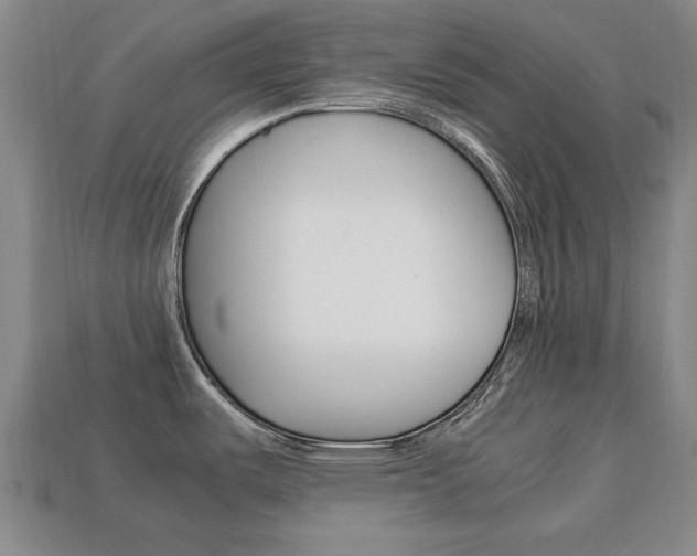 X0000113851487200909240954