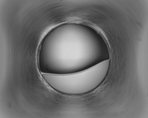 X0000113851488200909240954