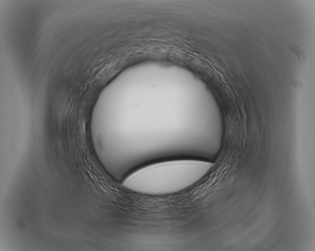 X0000113851489200909240953