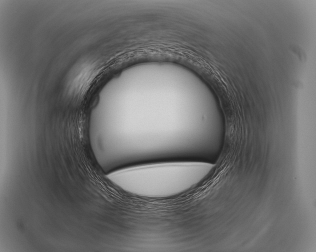 X0000113851490200909240953