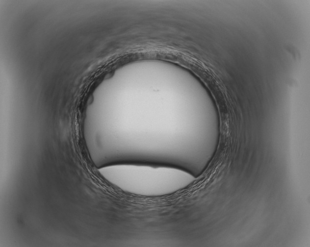 X0000113851493200909240953