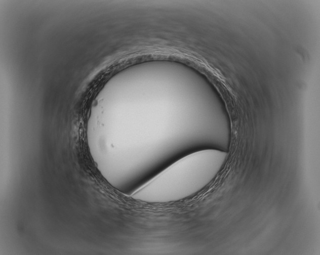 X0000113851495200909240953