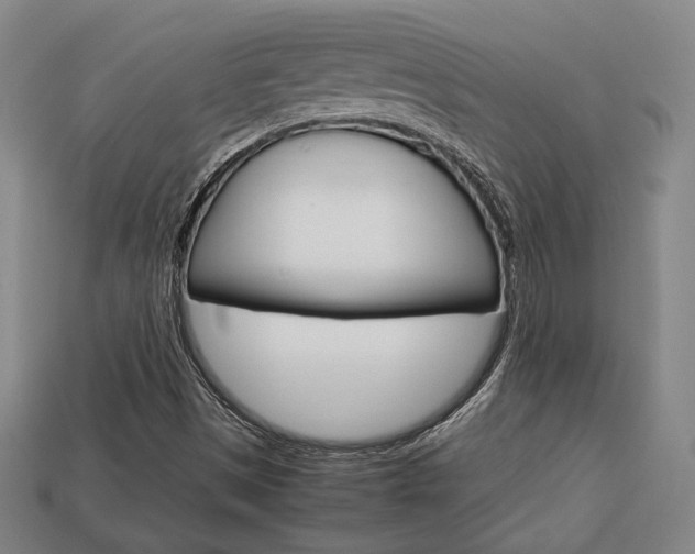 X0000113851497200909240953