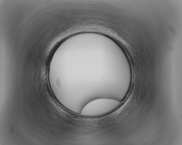 X0000113851498200909240953