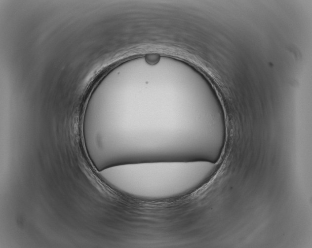 X0000113851499200909240954