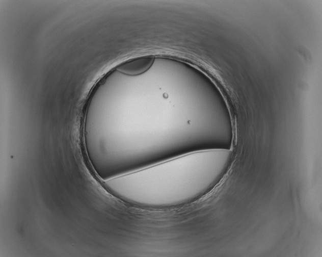 X0000113851500200909240954