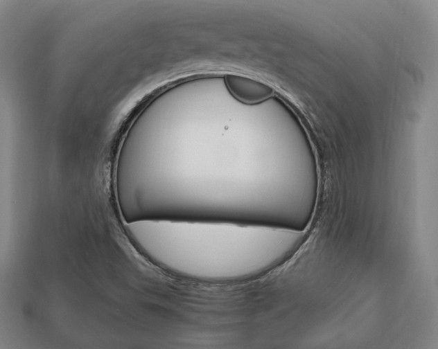 X0000113851503200909240954