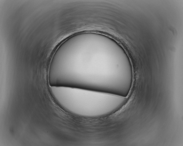 X0000113851505200909240954