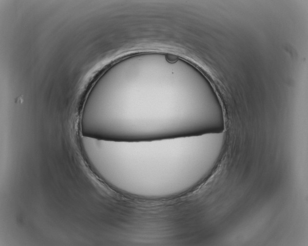 X0000113851507200909240954