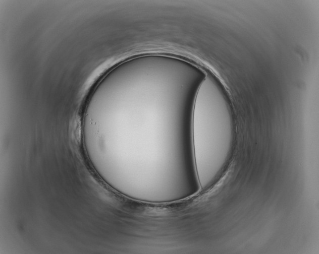 X0000113851509200909240954