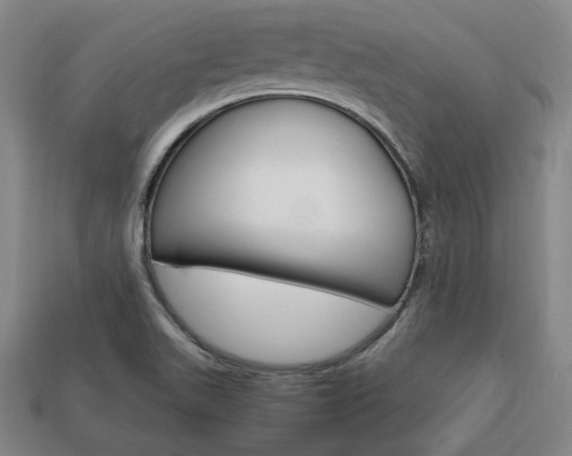 X0000113851511200909240954