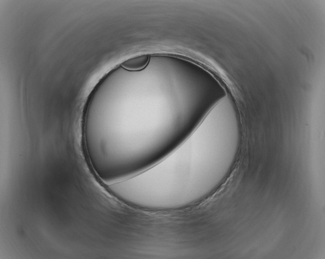 X0000113851512200909240954