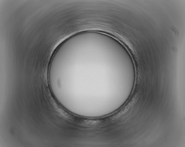 X0000113851513200909240954