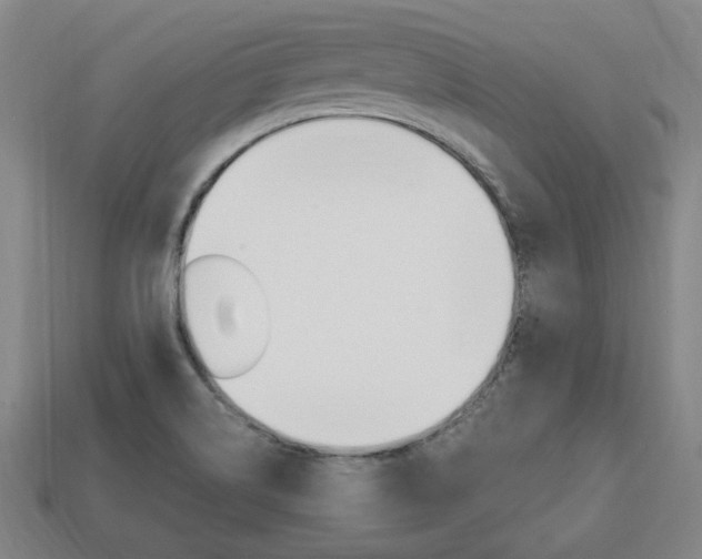 X0000113851514200909240954
