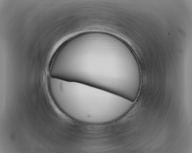 X0000113851515200909240954