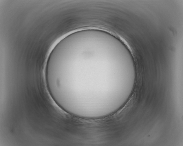 X0000113851516200909240954